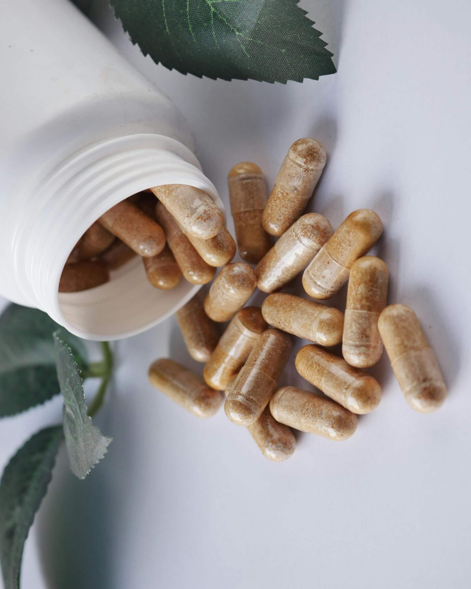 Ernährungstherapie bei Erkrankungen