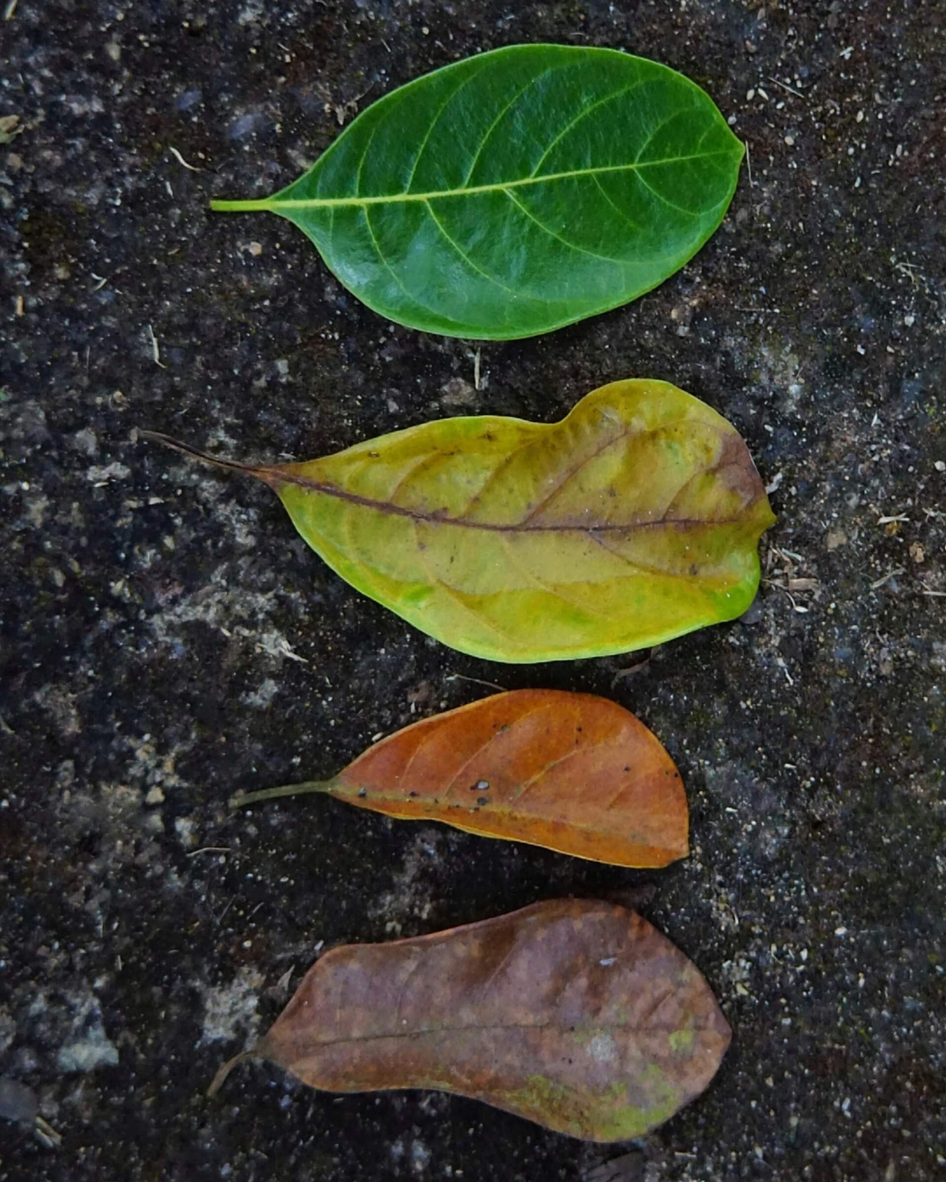 Lebensphasen spezifische Beratung