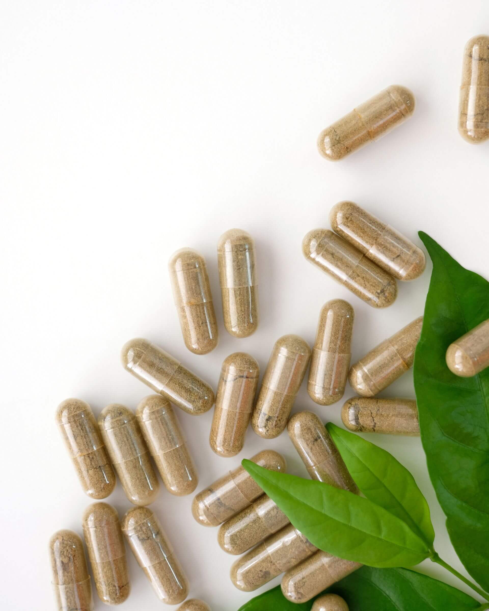 Wissenschaftliche Grundlagen und Methoden